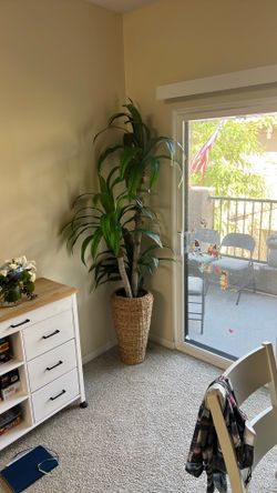 🌿 **6.5' Tall Decorative Artificial Floor Plant – Like New** 🌿