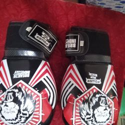 Professional Boxing Gloves