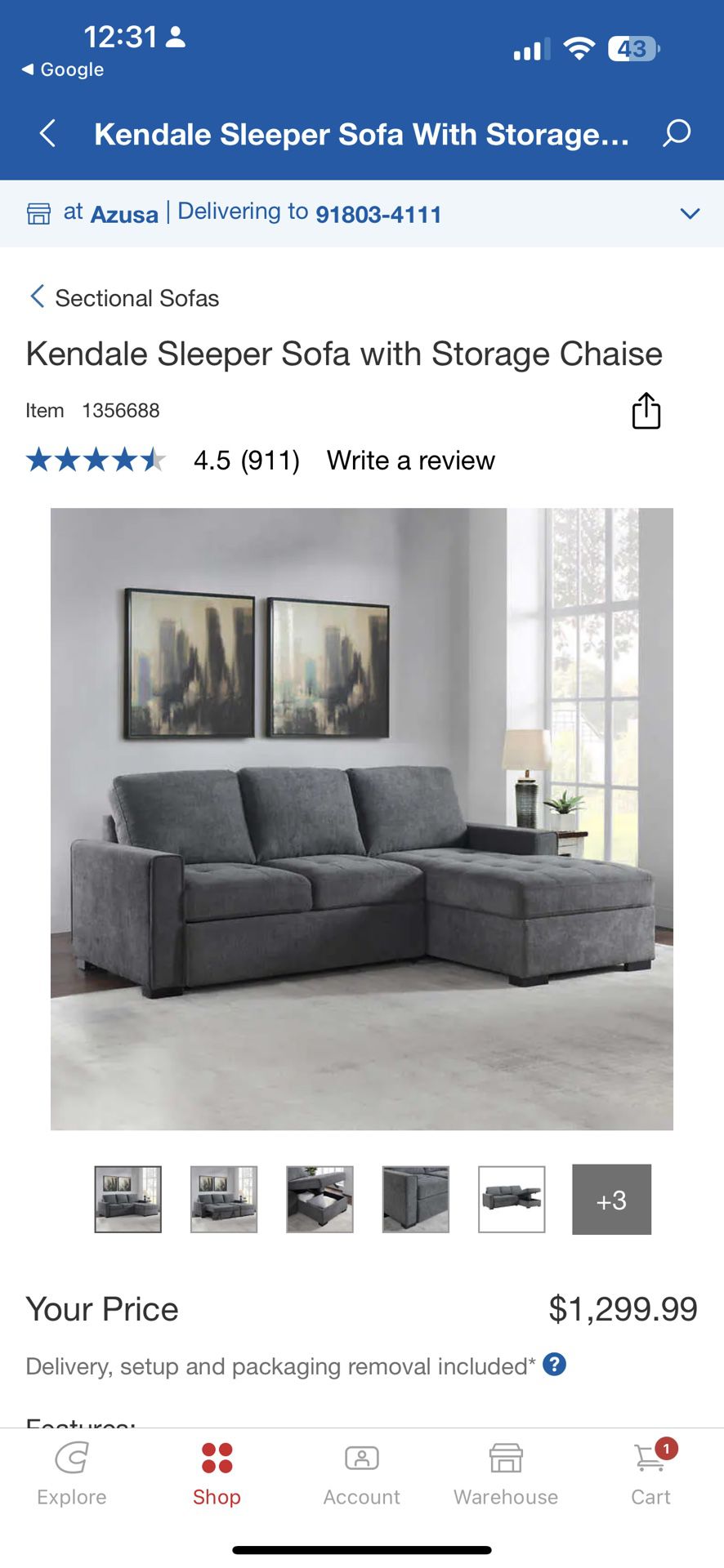  Costco Kendale Sleeper Sofa with Storage Chaise