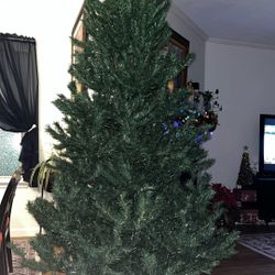 Free 7 Ft Christmas Tree