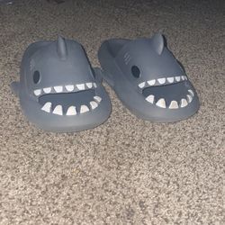 shark slides