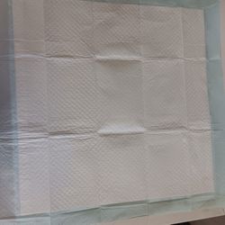 150 Doggy Training Pads 22x22