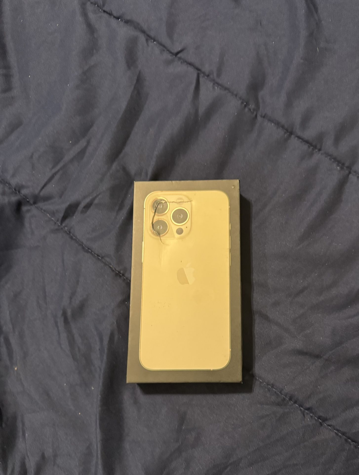 iPhone 13 Pro