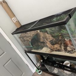 55 Gallon Tank 
