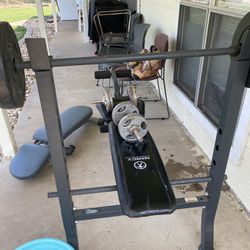 Bench Press With Weights And Adjustable Dumbbells 