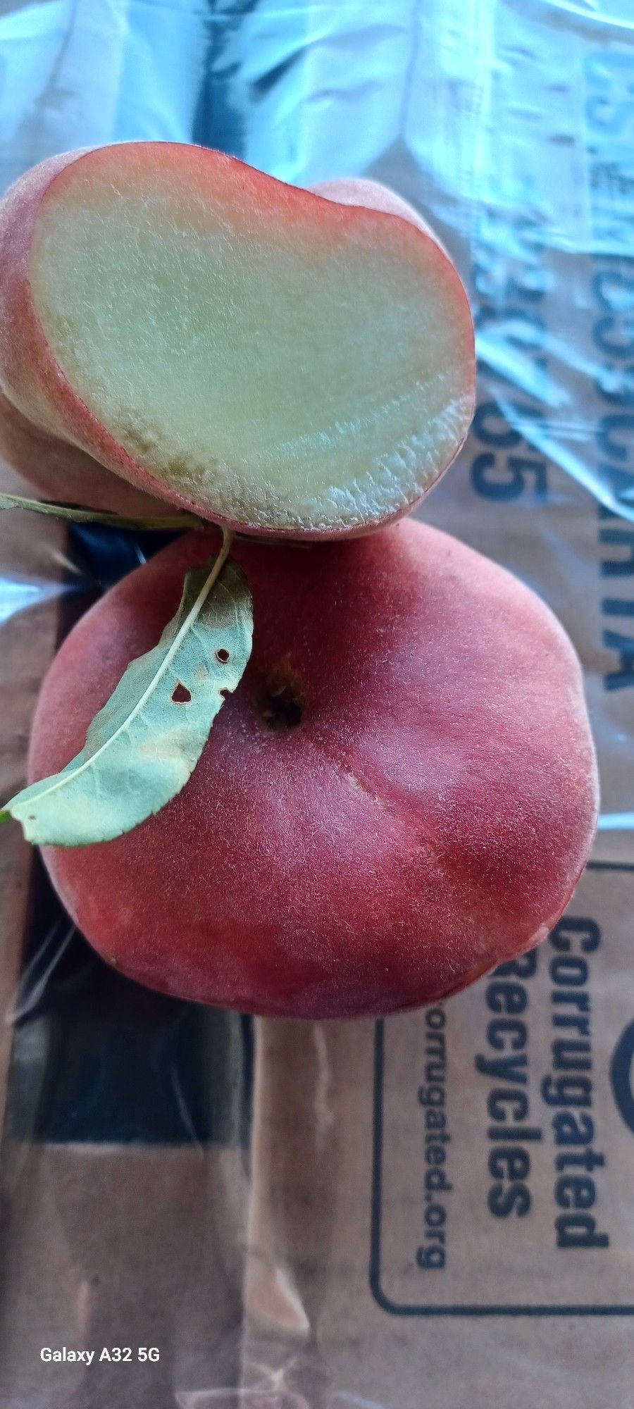 Fresh Produce