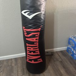 Everlast 100 Lb Punching Bag