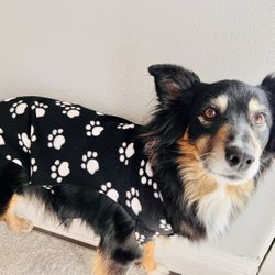 Hand Made Dog Blanket Coats 