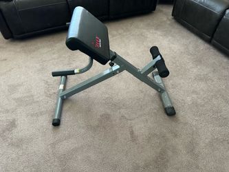Sunny Strength 45 Degree Hyperextension Roman Bench