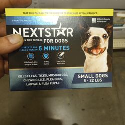 Next Door For Dogs