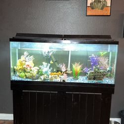 Fish Tank , Stand + Fish , Everything’s Included 