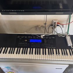 Casio Wk-240 Excellent Condition With Power Adapter