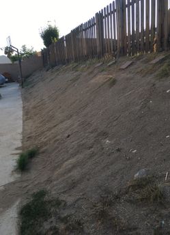 Free Dirt