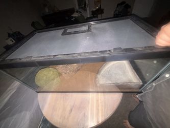 Snake / Reptile Tank 🐍 - Only 1 Snake  Inside Only Used For A Year.