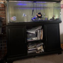 Fish Tank And Stand 