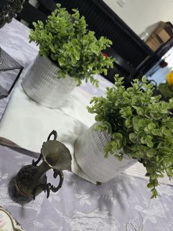 Vintage Items & Fake Plants
