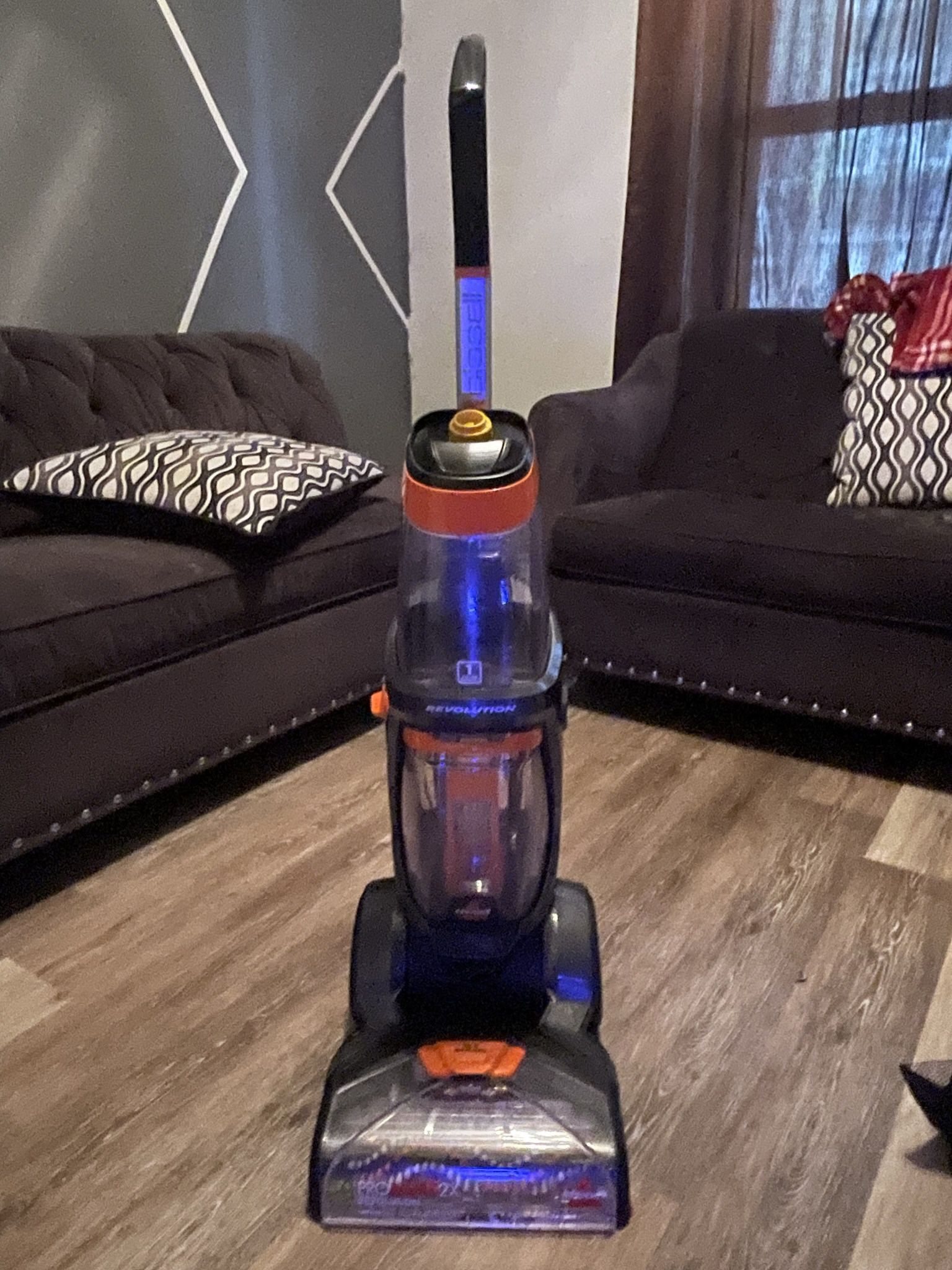 Bissell proheat pet pro carpet cleaner 