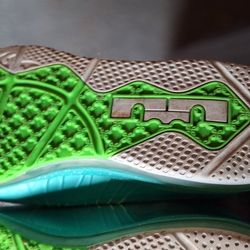 LeBron James Sneaker