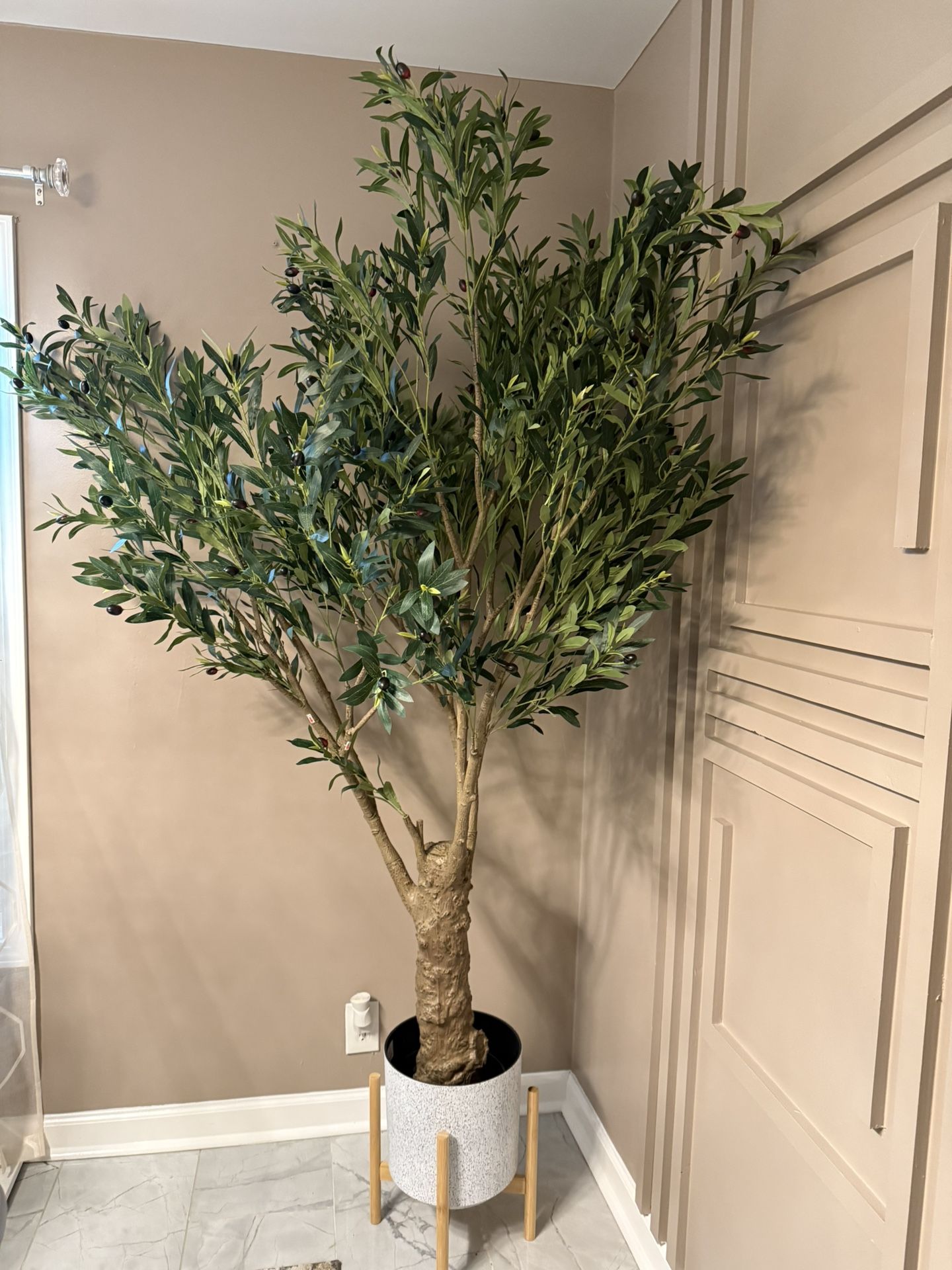Olive Tree