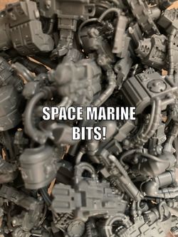 Warhammer 40k Space Marines