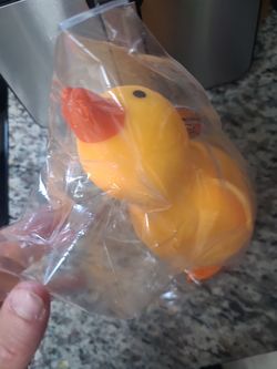 squishy duck
