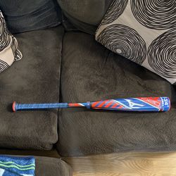 Baseball Bat 30” 22oz