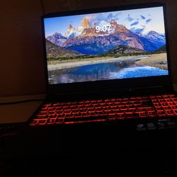 Acer Nitro 5