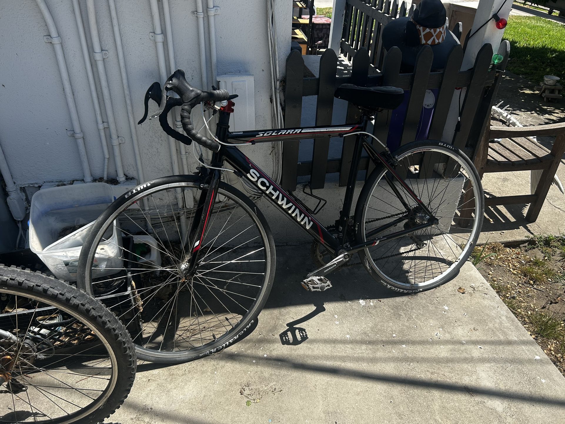 Schwinn Bike