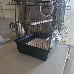 Bird Cage 