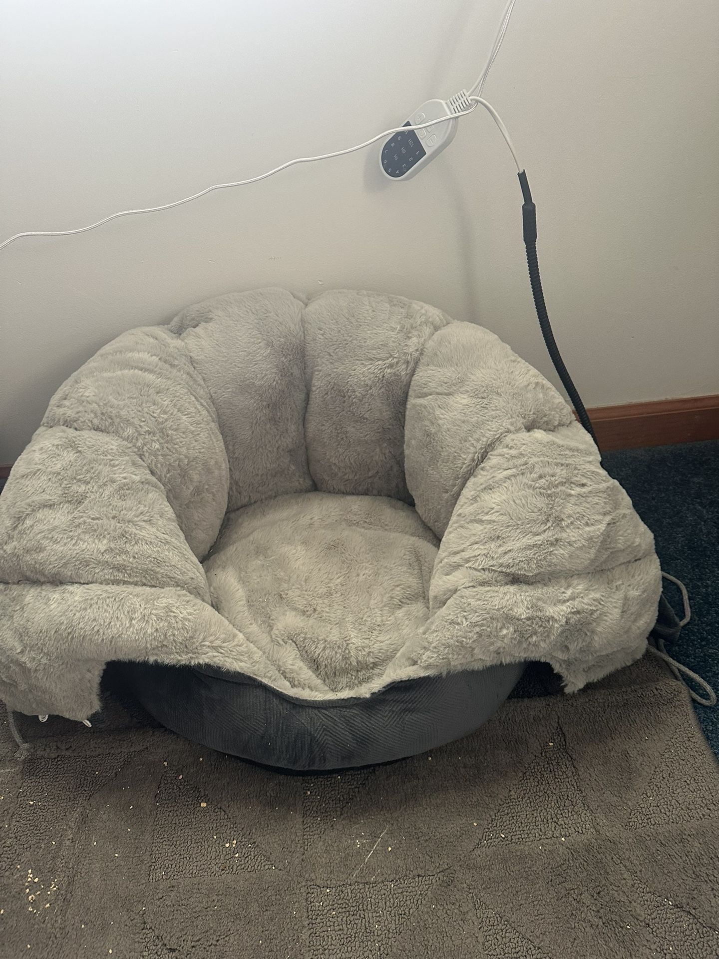 Heated Cat Bed