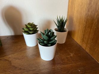 Faux Succulent Decor