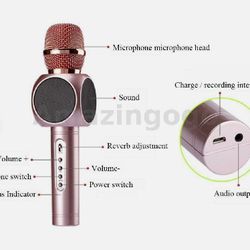 Gold Wireless Handheld Microphone NEW Rechargeable -