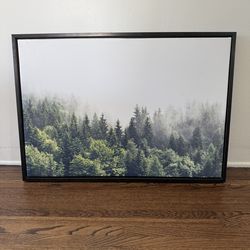 Framed Wall Art Photo