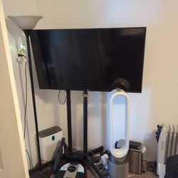 Vizio TV With Stand
