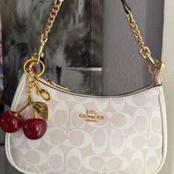 coach teri purse🍒