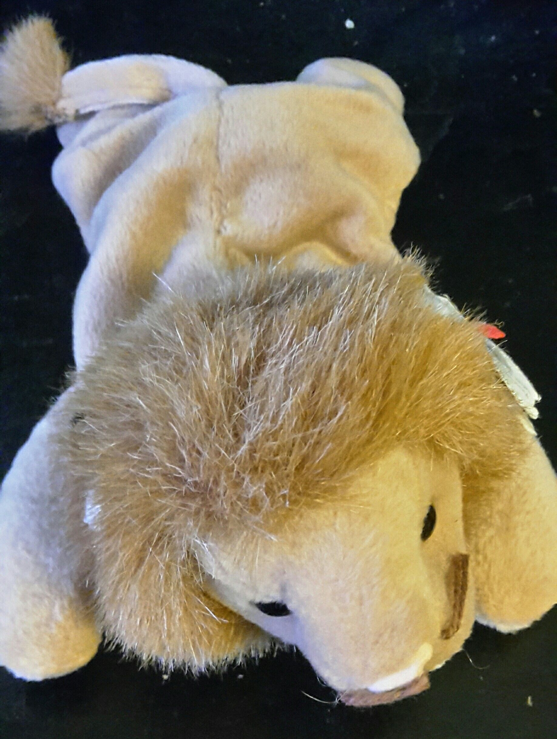 Roary Beanie Baby $5