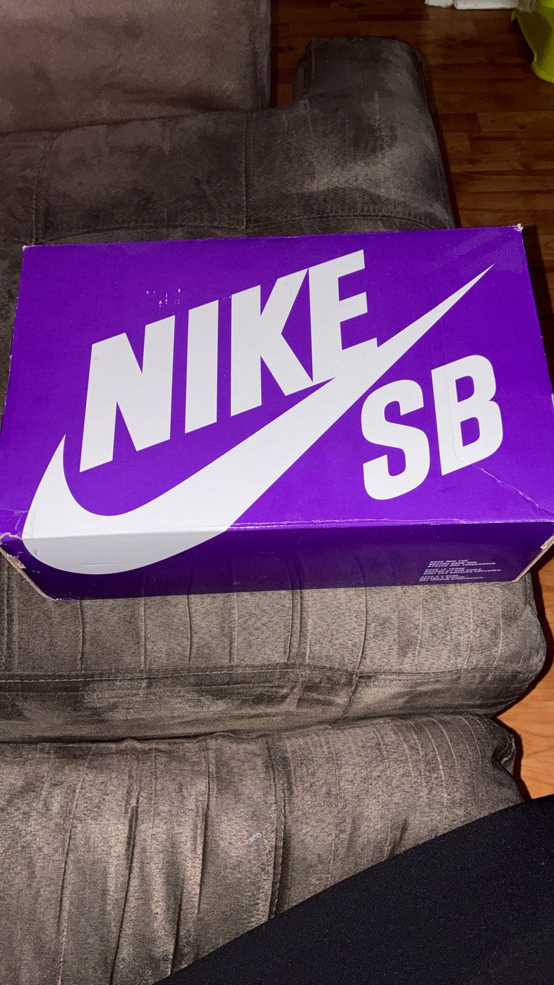 Nike SB Dunk Low Pro