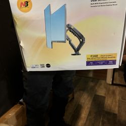 Dual Screen Mount