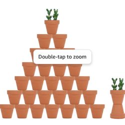 Decorative Plant Pots