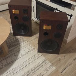 Acoustic Monitor DB loud speakers