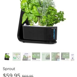 Aerogarden Sprout 