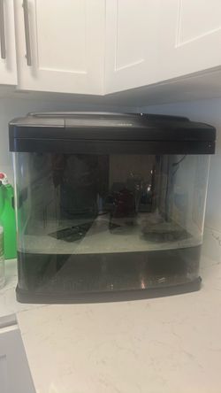 BioCube Fish Tank