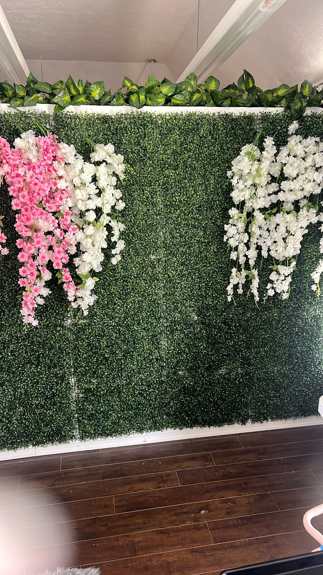 Plant Wall