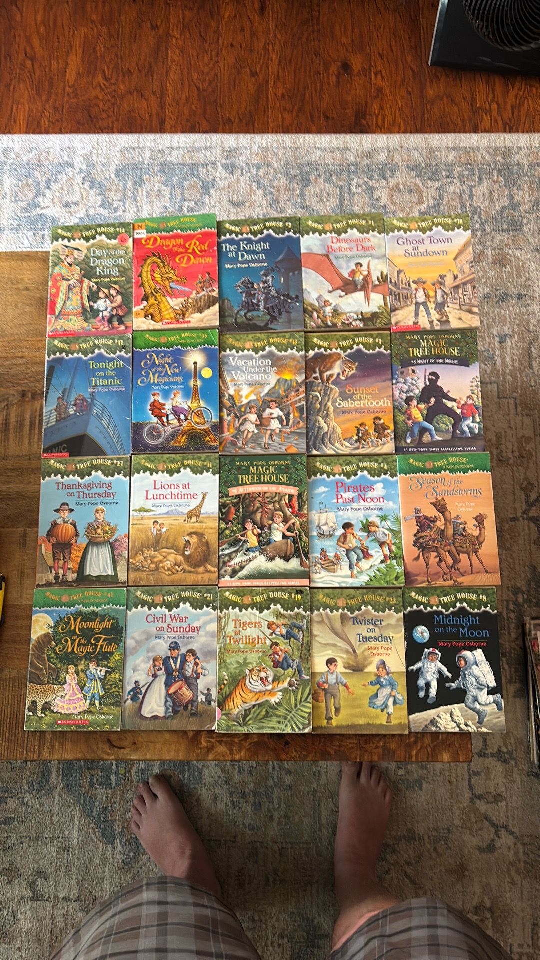 Magic Tree House book lot