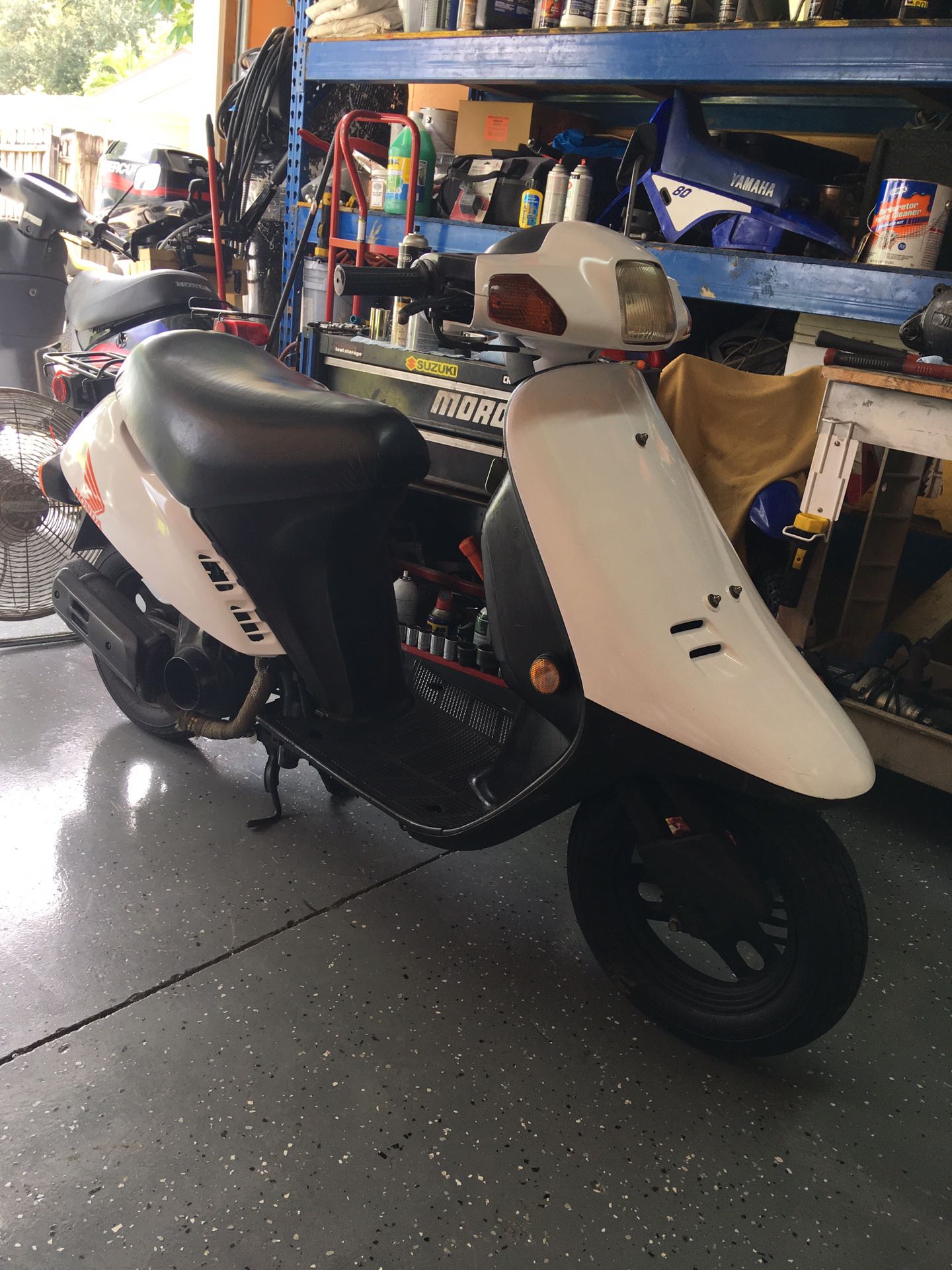 sø indelukke aflange Honda Elite-SR 50cc scooter moped for Sale in Fort Myers, FL - OfferUp