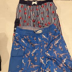 Boy Swim Trunks