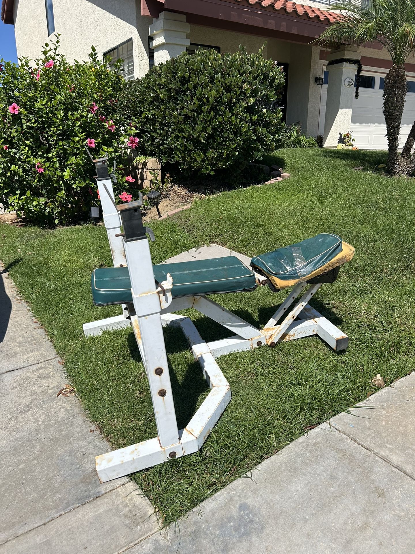 Free Bench Press/Golds Gym Used
