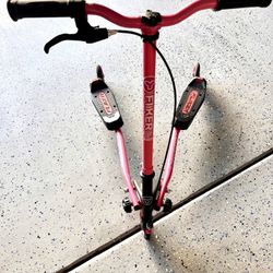 Fliker Scooter