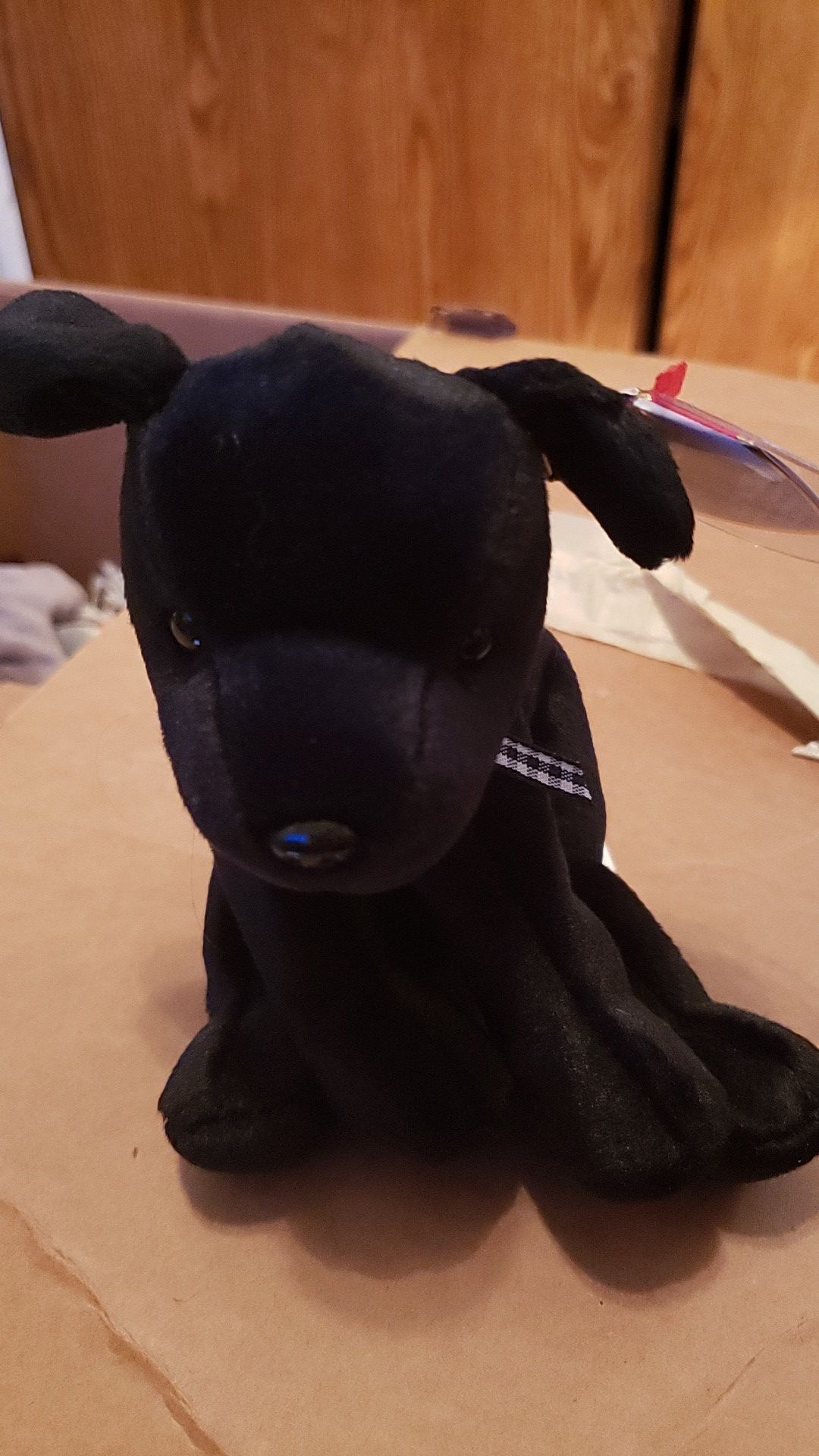 Luke ( black lab dog beanie babie)