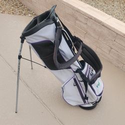 Ping E2 Mascot 4 Way Stand Bag Green White Gold Black 
